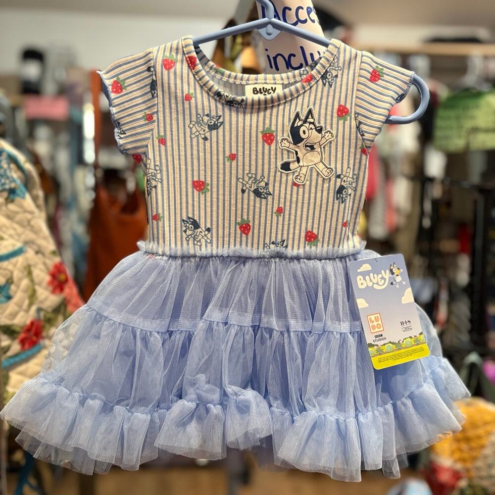 Bluey Dress 12 Months NWT Tulle Skirt Strawberry Striped Baby Girl Outfit
